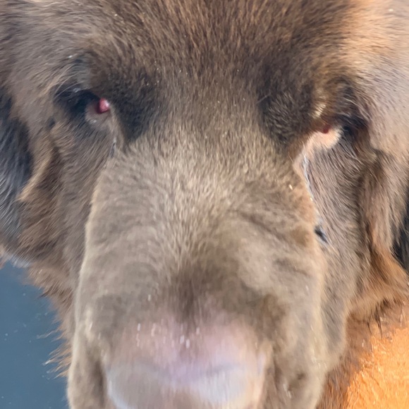 Meet your Posher, Alexandria - Picture 1 of 1